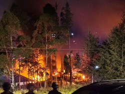 Kronologi Massa Bakar Kantor Bupati-Gedung DPRD Puncak Papua