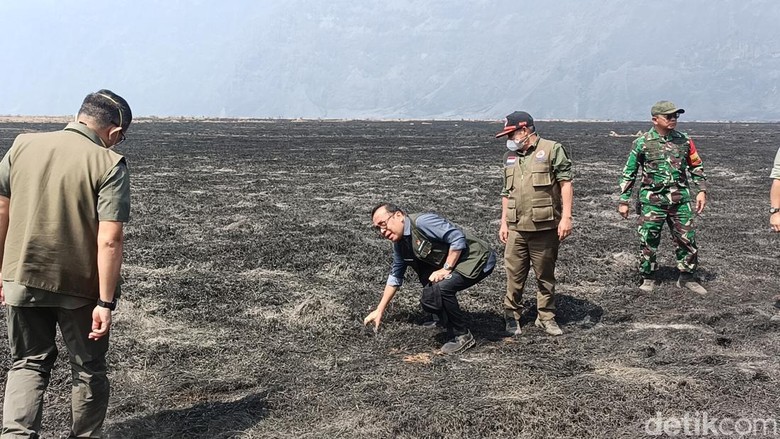 Kunjungi Lokasi Kebakaran Bromo, Menko Pratikno Beber Tinggal 2 Titik Api