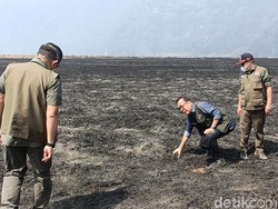 Kunjungi Lokasi Kebakaran Bromo, Menko Pratikno Beber Tinggal 2 Titik Api