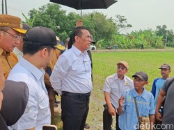 Kata Mentan Amran Soal Kolam Retensi di Gresik Terkendala Sengketa