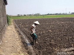 Tekan Biaya, Petani Nganjuk Modifikasi Elipiji 3 Kg untuk Diesel