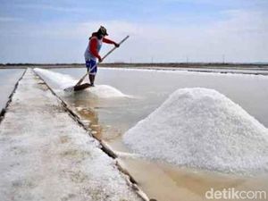 Getirnya Harga Garam bagi Para Petani di Sampang