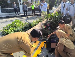 Tak Ada Angin, Pohon Beringin di Alun-alun Blitar Tumbang Timpa Pemotor
