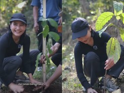 Sweet! Prilly Latuconsina Kasih Omara Kado Ultah 270 Pohon Kopi