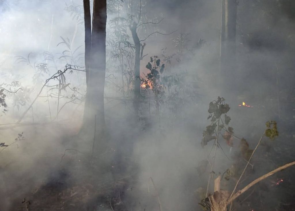 Upaya petugas campuran dalam memadamkan api nan membakar area bukit di Dusun Waililan, Negeri Bula, Kecamatan Bula, Kabupaten Seram Bagian Timur, Provinsi Maluku, Senin (10/8). (Dok. BPBD Kab. Seram Bagian Timur)