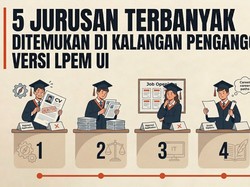 EduGrafis: 5 Jurusan Terbanyak Ditemukan di Kalangan Pengangguran S1 Versi LPEM UI