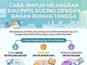 4 Bahan Ini Bisa Bersihkan Pipis Kucing Sampai Tak Berbau Lagi