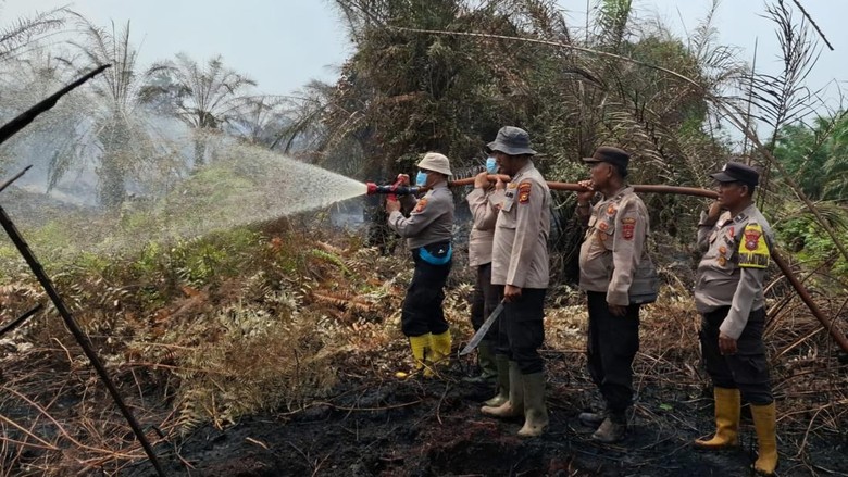 Karhutla di Bengkalis, Angin-Lahan Gambut Jadi Tantangan Pemadaman