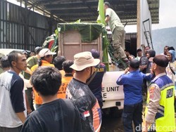 Macan Kumbang Satroni Permukiman di Batang Ditangkap