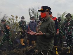 Karhutla Jambi Makin Meluas, Al Haris Ajak Salat Istisqa
