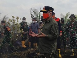 Karhutla Jambi Makin Meluas, Al Haris Ajak Salat Istisqa