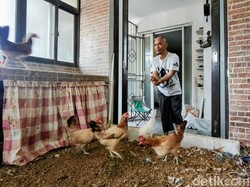 Cara Agus Wujudkan Ketahanan Pangan dari Kamar 4x4 di Bandung