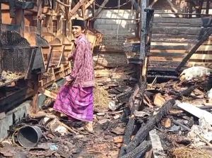 Video: 100 Kambing Terpanggang Imbas Kebakaran Kandang, Kerugian Rp 350 Juta