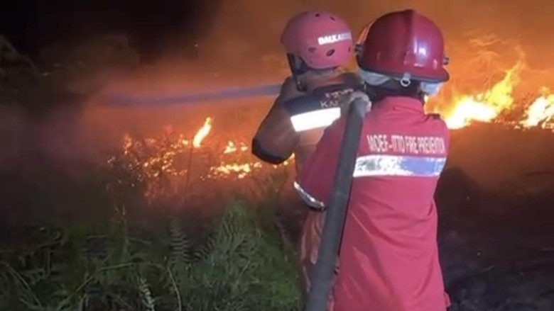 Karhutla Landa Berau, Kasus Terbanyak di Kecamatan Pulau Derawan