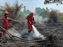 Karhutla Puluhan Hektare di Lahan Gambut Jambi Dilakukan Pendinginan