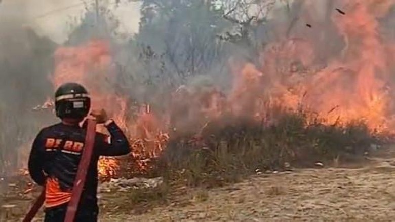 Karhutla di Kobar: 323 Hektare Lahan Hangus dan 300 Hotspot Terdeteksi