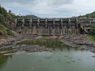 Kekeringan Parah Melanda Puerto Riko, Warga Mulai Hadapi Penjatahan Air