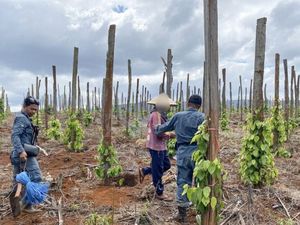 Kemenhut Ungkap Jual-Beli Lahan Hutan Lindung di Sulsel, 3 Orang Ditangkap