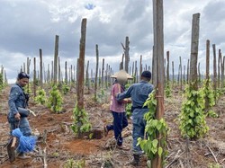 Kemenhut Ungkap Jual-Beli Lahan Hutan Lindung di Sulsel, 3 Orang Ditangkap
