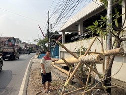 Baru Laku 3, Pedagang Pohon Pinang di Manggarai Keluhkan Penjualan Menurun
