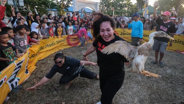 Lomba Tangkap Itik Meriahkan Sambut HUT ke-81 RI di Kendari
