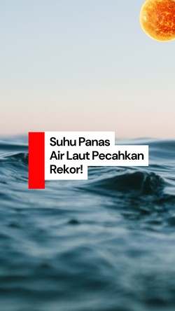 Video: Pecah Rekor! Suhu Air Laut Dunia Makin Panas