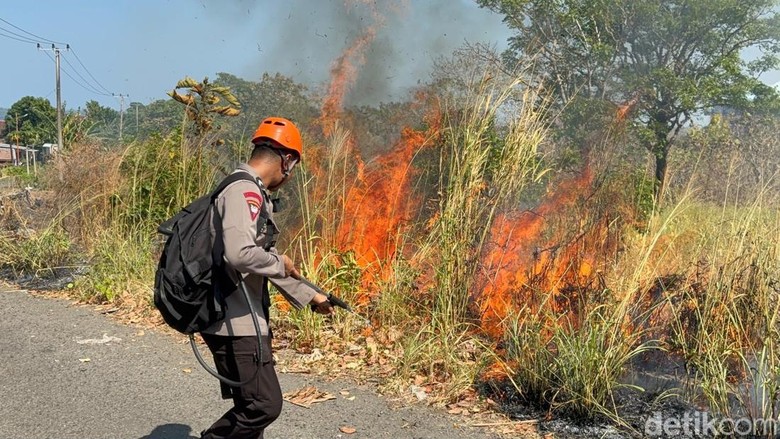 122 Kejadian Karhutla di Parepare Sejak Juni Imbas El Nino, 7 Ha Lahan Hangus