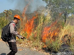 122 Kejadian Karhutla di Parepare Sejak Juni Imbas El Nino, 7 Ha Lahan Hangus