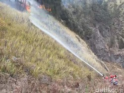 Hari ke-10 Karhutla Bromo, 942 Hektare Lahan Terdampak Kebakaran