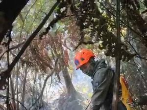 Taruhan Nyawa Relawan Padamkan Api di Kawah Wadon Gunung Gede