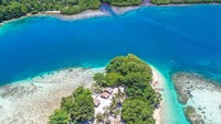 8 Fakta Bougainville, Negara Baru yang Bakal Jadi Tetangga Indonesia di 2030