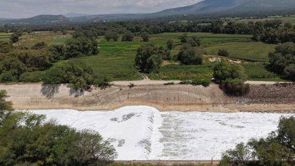 Air Limbah Dimanfaatkan untuk Mengairi Lahan Pertanian di Meksiko