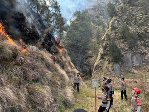 Kebakaran di Bromo Padam tapi Masih Terlihat 2 Titik Kepulan Asap
