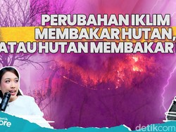 Peningkatan Karhutla, Dampak Iklim atau Ulah Manusia?