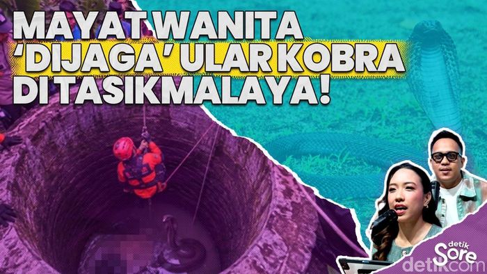Video: Ular Kobra Jadi Penghalang Proses Evakuasi Mayat Wanita Dalam Sumur di Tasikmalaya