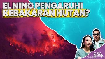 Video: Peneliti BRIN Ungkap Hubungan El Nino dam Kebakaran Hutan