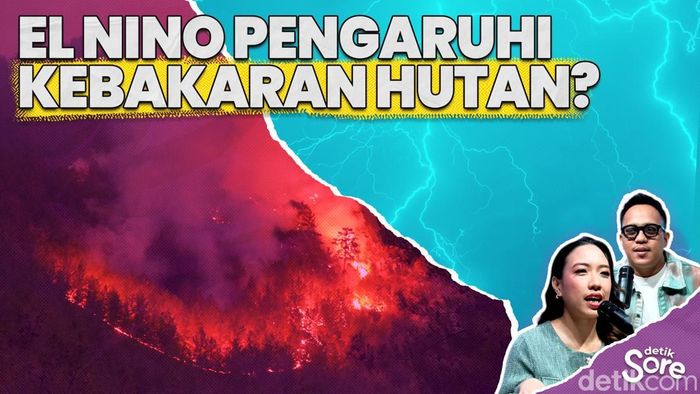 Video: Peneliti BRIN Ungkap Hubungan El Nino dam Kebakaran Hutan