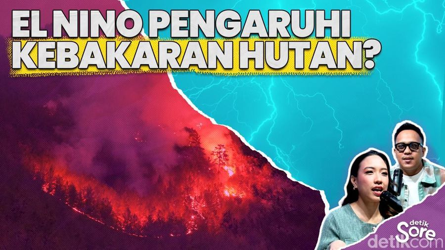 Video: Peneliti BRIN Ungkap Hubungan El Nino dam Kebakaran Hutan