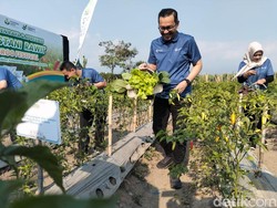 Petrokimia Gresik Gelar Pestani Rawit Groo Festival di Malang