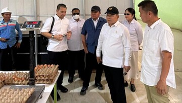 Herman Deru Pastikan Stok Telur untuk Dukung Program MBG di Sumsel