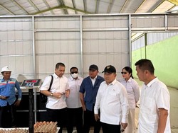 Herman Deru Pastikan Stok Telur untuk Dukung Program MBG di Sumsel