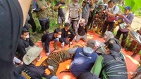 Mangsa Ternak Milik Warga, Harimau Sumatera Dievakuasi BKSDA Sumbar