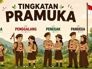 Tingkatan Pramuka Lengkap dari Siaga hingga Pandega