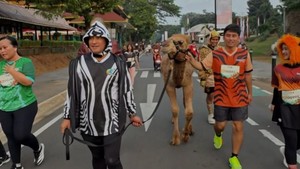 Irfan Hakim Ikut Lari Bareng Hewan Peliharaan, Ada Insiden Ditendang Unta