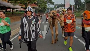 Irfan Hakim Ikut Lari Bareng Hewan Peliharaan, Ada Insiden Ditendang Unta