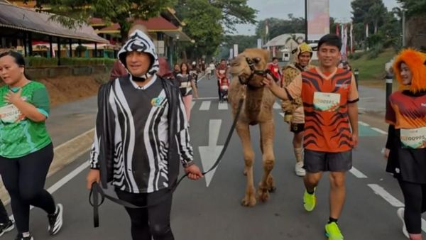 Irfan Hakim Ikut Lari Bareng Hewan Peliharaan, Ada Insiden Ditendang Unta