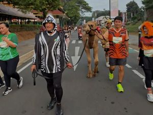 Irfan Hakim Ikut Lari Bareng Hewan Peliharaan, Ada Insiden Ditendang Unta