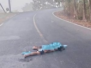 Wanita Tewas Terkapar di Jalintim Tulang Bawang, Diduga Korban Tabrak Lari