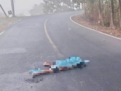 Wanita Tewas Terkapar di Jalintim Tulang Bawang, Diduga Korban Tabrak Lari