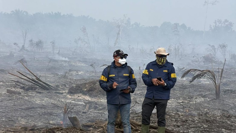 28 Tersangka Karhutla di Riau Sepanjang 2026, Pelalawan dan Inhil Terbanyak